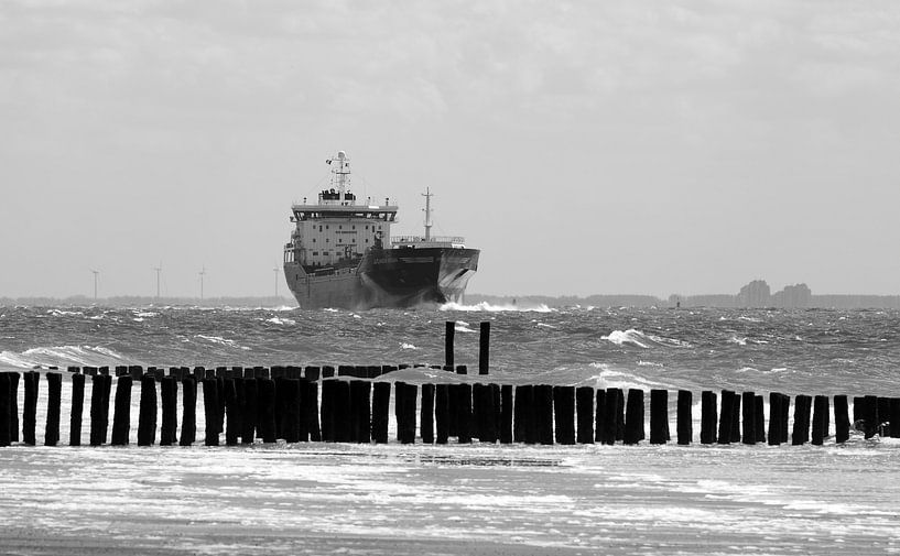 Vrachtschip dicht bij kustlijn Zoutelande van MSP Canvas