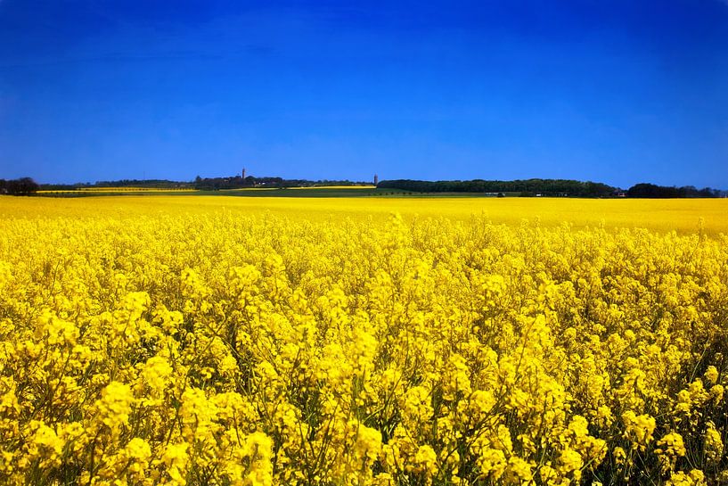 RÜGEN Cape Arkona - rhapsody in blue and yellow by Bernd Hoyen