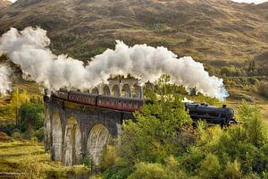 The Jacobite Steam Train - Passing Glenfinnan Viaduct von Rolf Schnepp