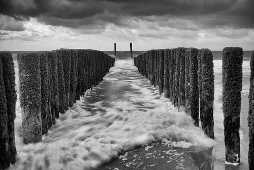 de ziedende zee