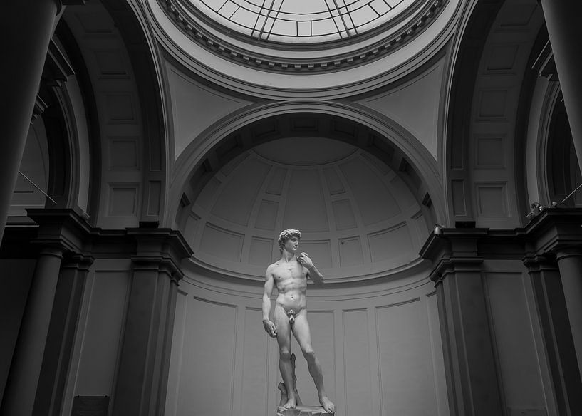 David par Pieter van der Zweep