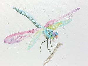 Die Libelle (Aquarellmalerei Tiere Kinderzimmer Pastellfarben rosa lila blau Natur Insekten) von Natalie Bruns