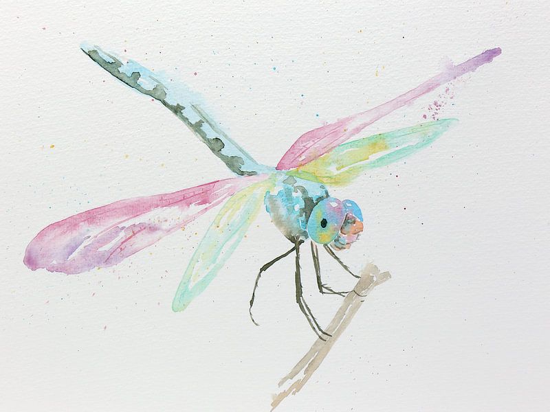 Die Libelle von Natalie Bruns