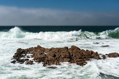Splash! by Wim Slootweg