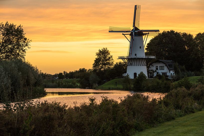 Windmolen in Deil Nederland by Marcel Derweduwen