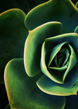 DARKSIDE OF SUCCULENTS XIII-C by Pia Schneider