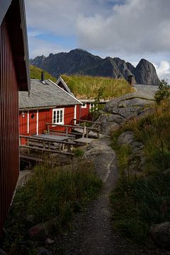 Noors landschap