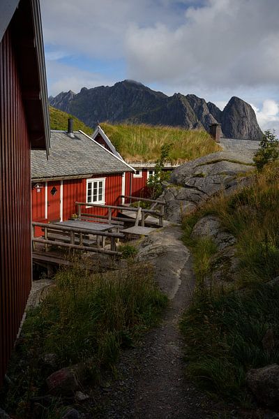 Paysage norvégien par Remco van Adrichem