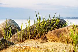Die Ostseeküste auf der Insel Rügen
