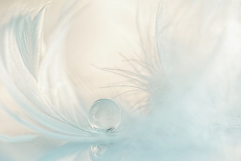 Featherweight by Mariëro Fotografie