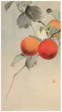 Ohara Koson - Kakipflaume und Warbling White-eye  (bearbeitet) von Peter Balan