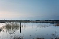 Zonsondergang 