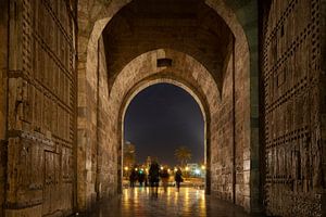 Torres de Serranos Valencia von Elroy Spelbos Fotografie