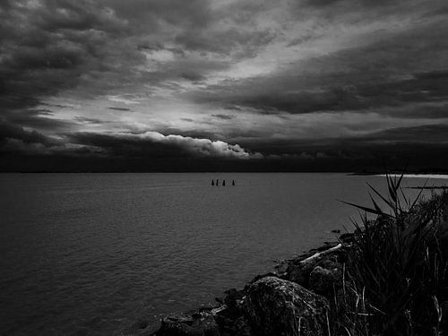 PAYSAGE MEDOCAINE # 22