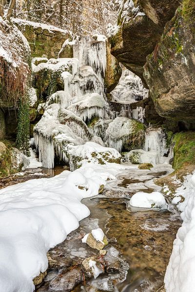 Lichtenhainer Wasserfall im Winter van Michael Valjak