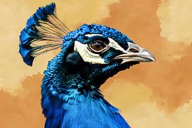 Image colorée et détaillée d'un paon sur Art & Soul Creations