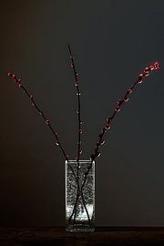 Matière noire 3 - Nature morte avec des sabots d'aulne sur Geert Smits