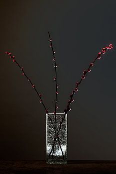 Matière noire 3 - Nature morte avec des sabots d'aulne