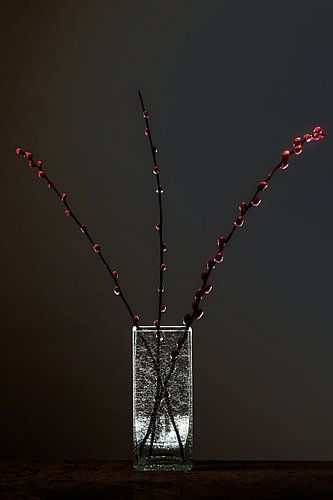 Dark Matter 3 - Still Life with Alder Clogs