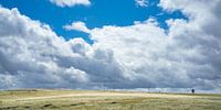 Steppe met regenwolken en zon