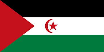 Vlag van de Democratische Arabische Republiek Sahara van de-nue-pic