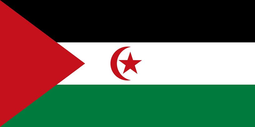 Flag of the Sahrawi Arab Democratic Republic by de-nue-pic