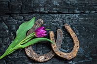 hoefijzer met bloem
