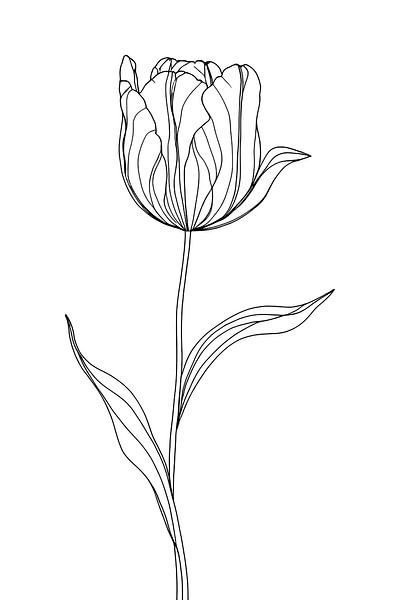 Tulip, minimalist... by Ans Bastiaanssen