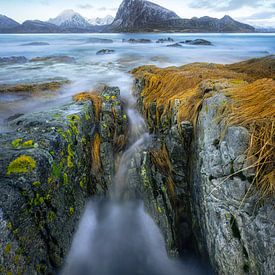 The flow by Roelie Steinmann