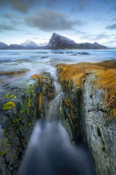 The flow by Roelie Steinmann