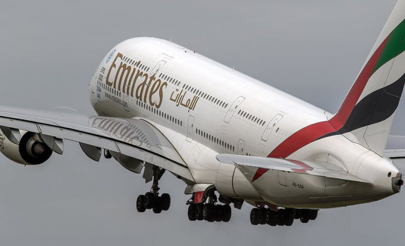 The Whale by Nildo Scoop