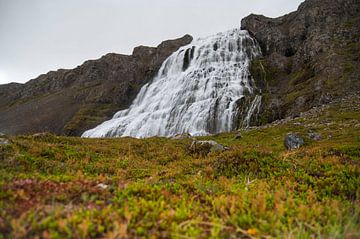 Dynjandi waterval met flora op de voorgrond van Bianca Fortuin