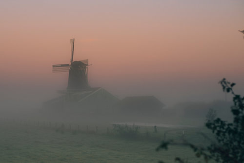 Sonnenaufgang über dem Poldernebel