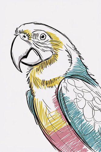 Kleurrijke papegaai schets kunstwerk