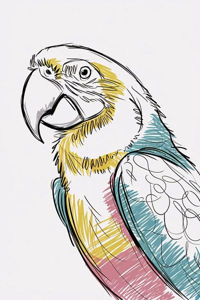 Colourful parrot sketch artwork by Art & Soul Creations