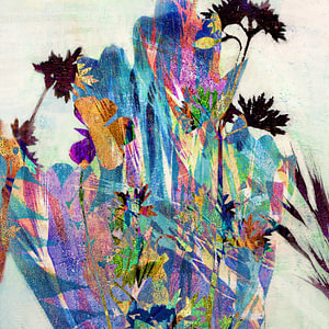 flowers - light and shadow with black