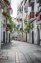 Ibiza Stadt (Eivissa) von Mark Bolijn Miniaturansicht