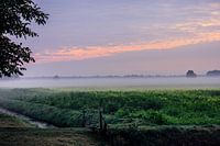 Niederländische Landschaft im Nebel