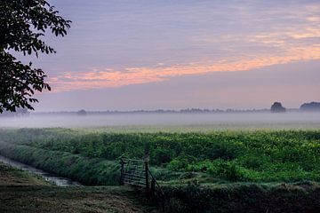 Hollands landschap in de mist van Mireille Noordermeer