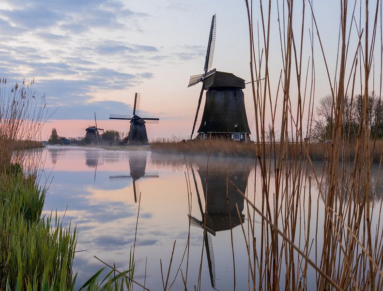 Strijkmolens Rustenburg van Bram Lubbers