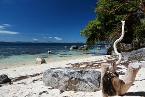 Einsamer Strand mit kristallklarem Wasser in Coron