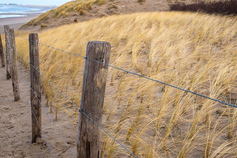 Blonde dunes by Annelies Martinot