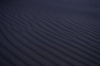 Beach detail of the Dutch coast