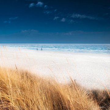 Strand en duinen van Scharbeutz op een zonnige dag van Voss Fine Art Fotografie