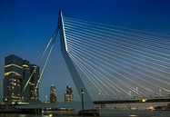 Zicht op de Erasmusbrug en De Rotterdammer bij nacht van Anouschka Hendriks thumbnail