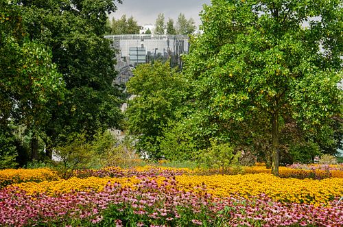 Colours in Museum Park