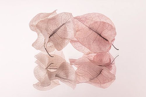 Stilleven fragiel en vergankelijk: Onze laatste tijd samen