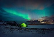 Justnes aurora by Wojciech Kruczynski thumbnail
