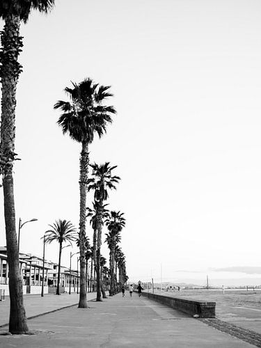 Valencia Boulevard von Raisa Zwart Reisefotografiedrucke