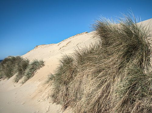Die weiße Spitze der Dünen